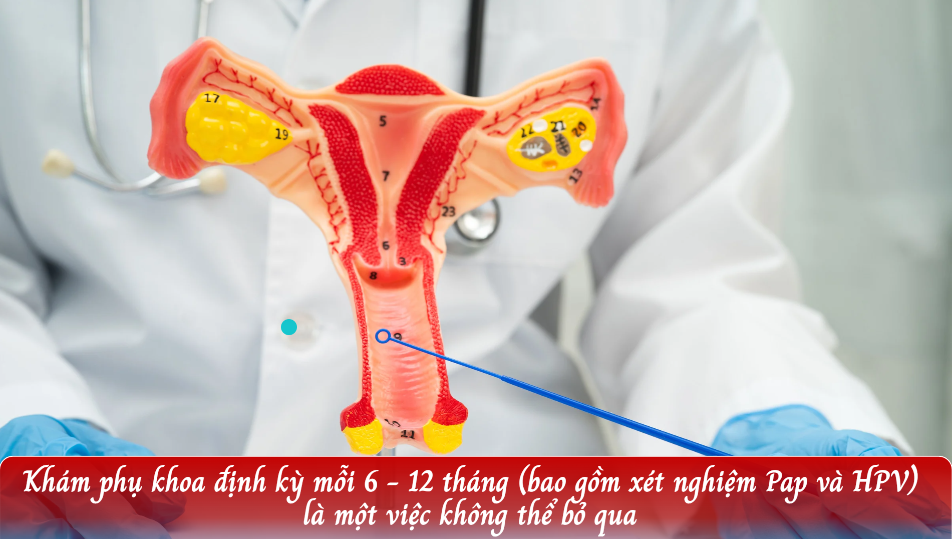 Phòng Ngừa Bệnh Phụ Khoa