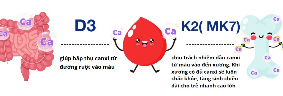 Bổ sung canci hiệu quả