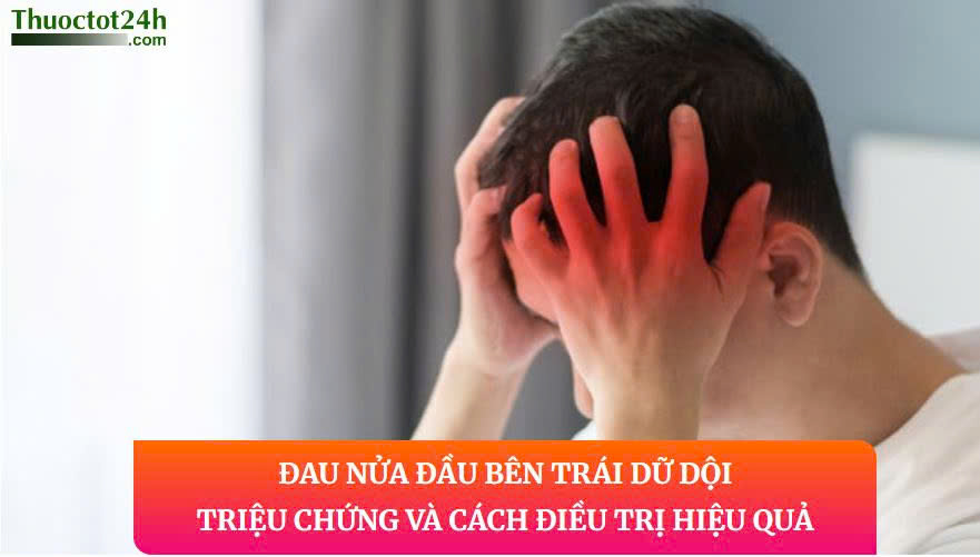 HPV Nguy Cơ Cao: 12 Type Gây Ung Thư | Chủ Động Phòng Tránh