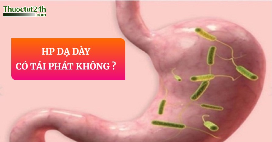 HP dạ dày có tái phát không