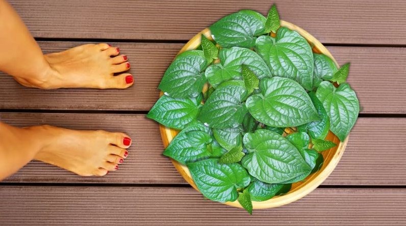 Ngâm chân bằng là lốt giúp giảm tê bì, ngừa phong thấp