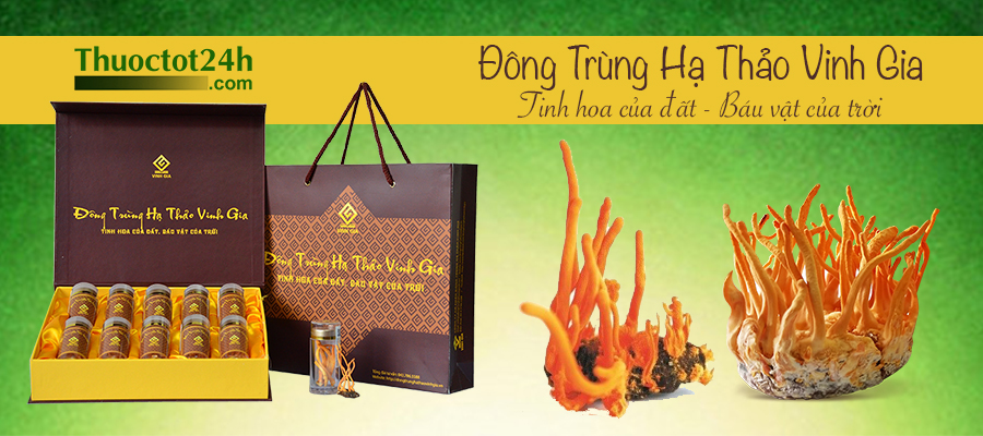 Đông Trùng Hạ Thảo Vinh Gia - Quả thể khô