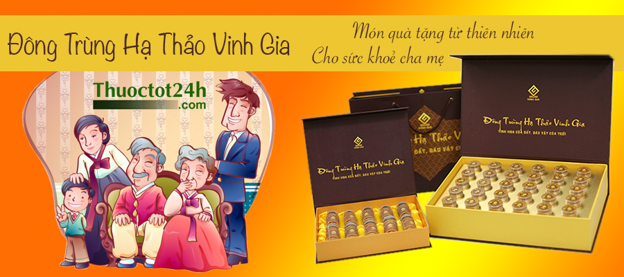 Đông Trùng Hạ Thảo Vinh Gia - Quả thể khô - Món quà vô giá từ thiên nhiên