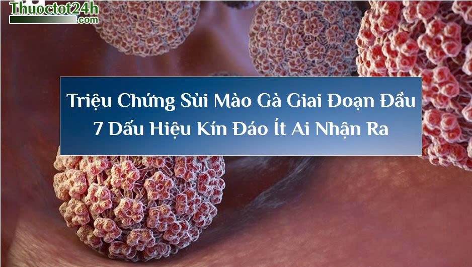 Triệu chứng giai đoạn đầu của sùi mào gà