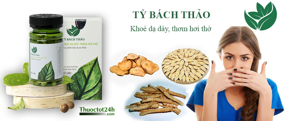 Tỳ Bách Thảo
